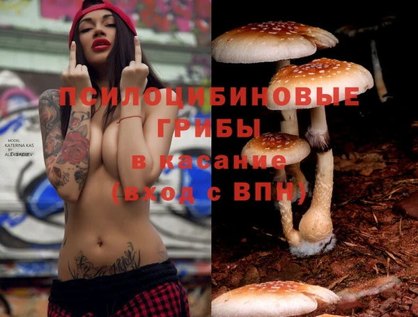 гидропоника Лабытнанги