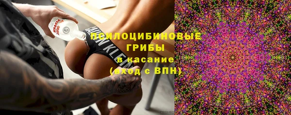 прущая мука Ладушкин