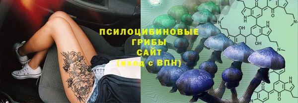 прущая мука Ладушкин