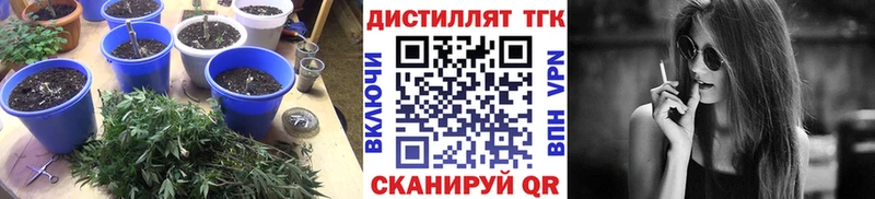 Купить где  Ипатово  ТГК гашишное масло 