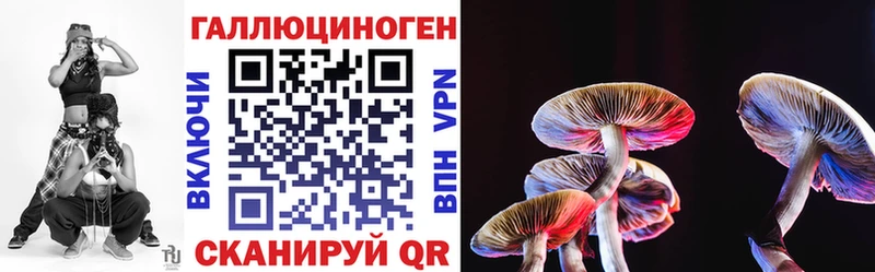 Купить где  Ипатово  Псилоцибиновые грибы Magic Shrooms 